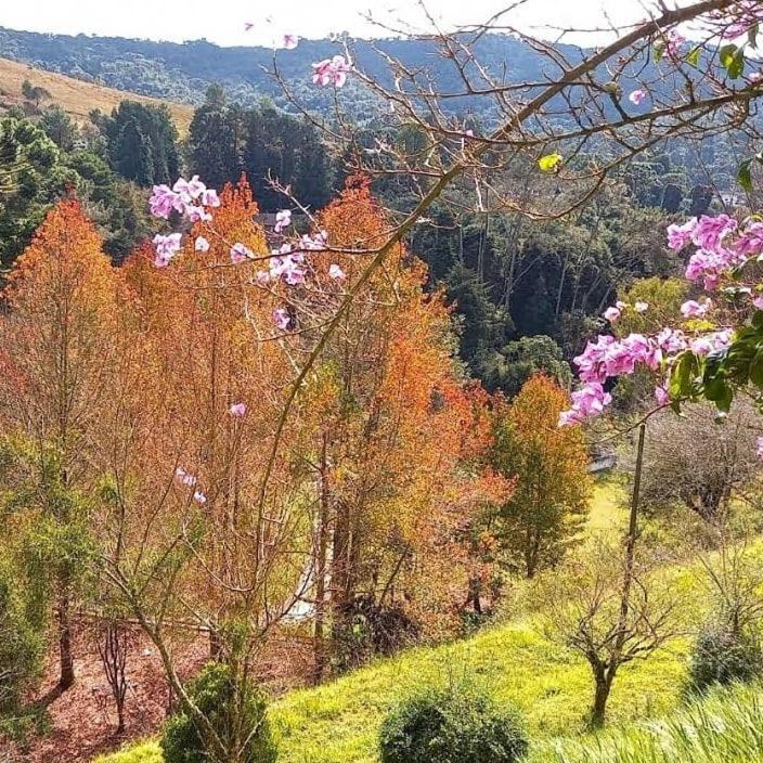 Colonia Saa 賓館 Campos do Jordão