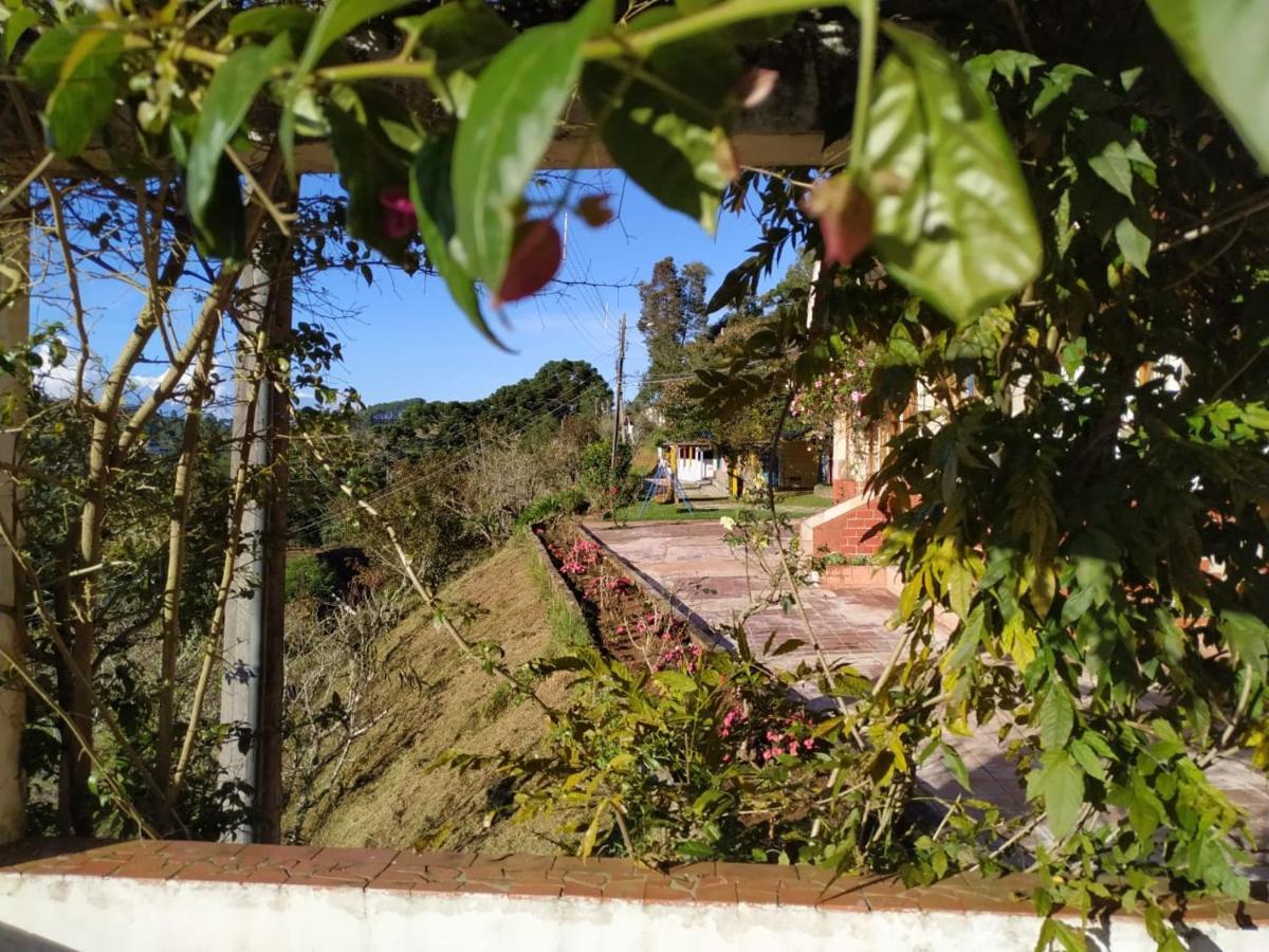 Colonia Saa