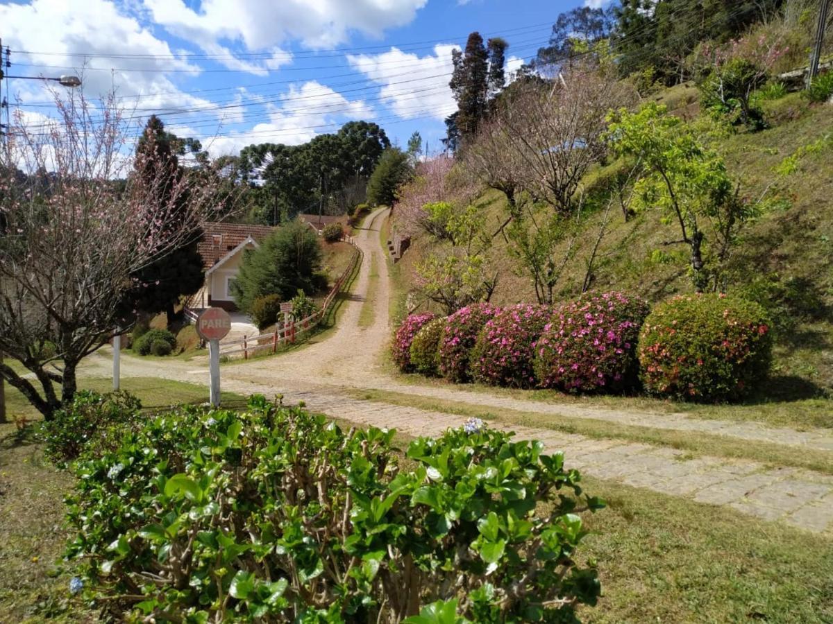 Colonia Saa