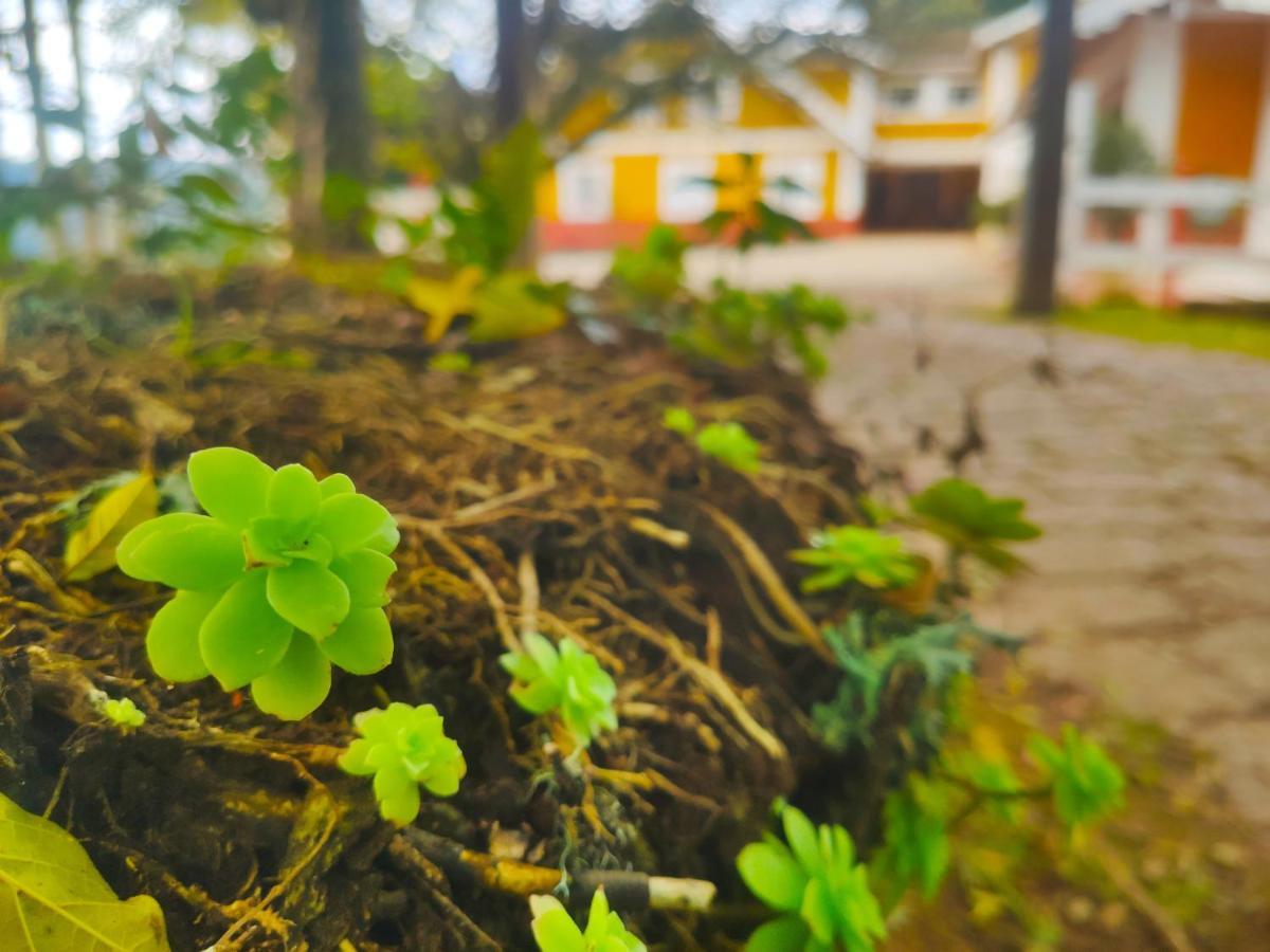 賓館 Colonia Saa Campos do Jordão