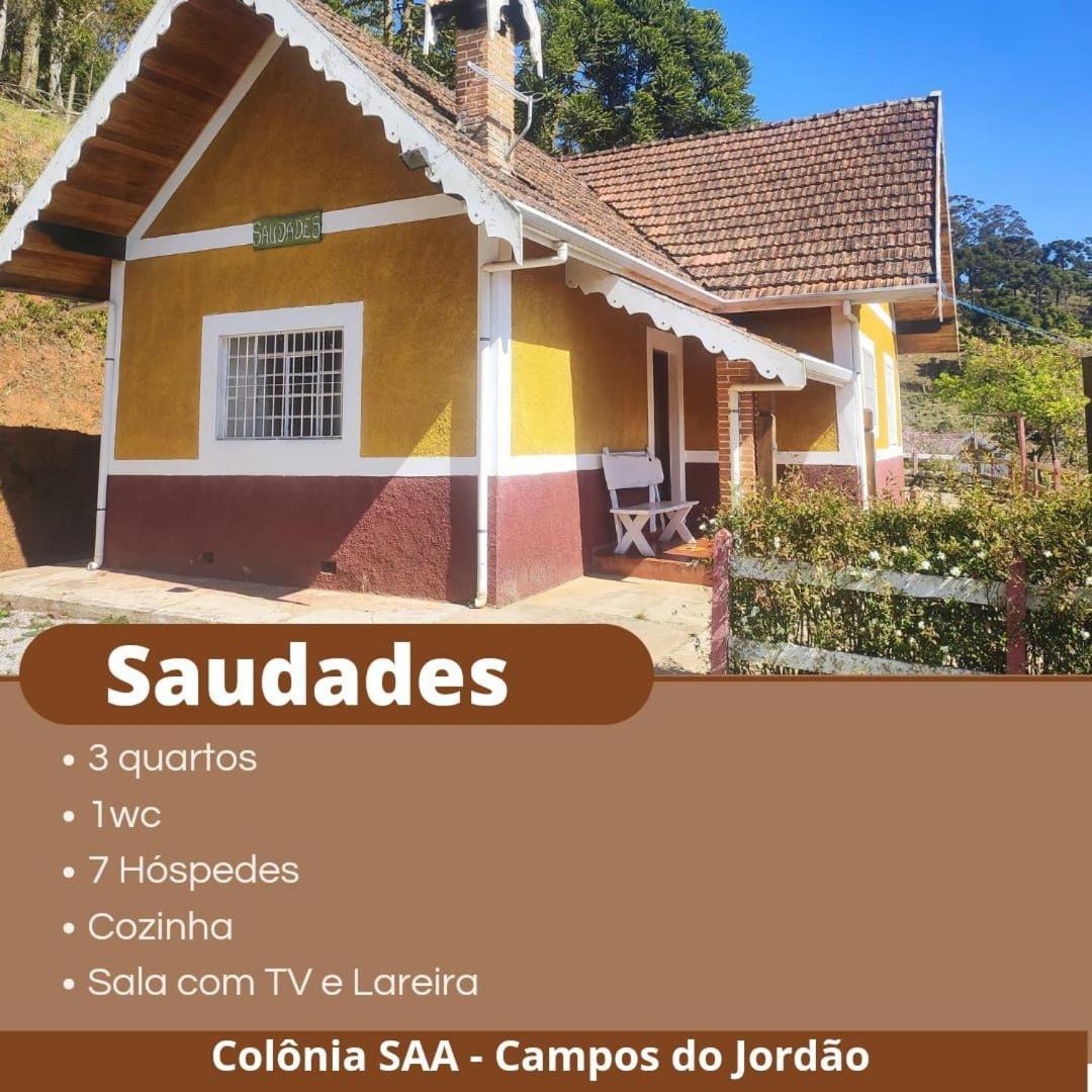 Colonia Saa
